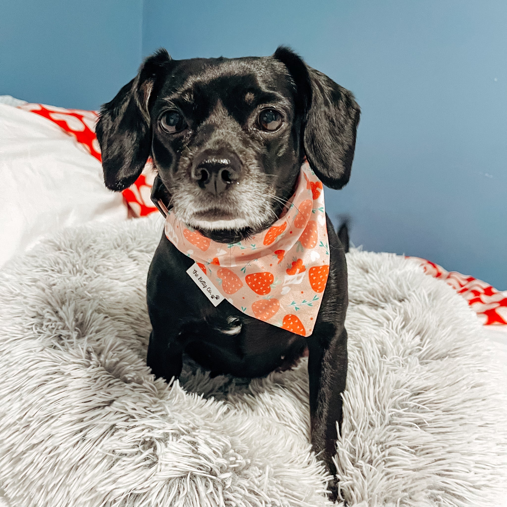 Berry Sweet Valentines Bandana – The Betty Co.