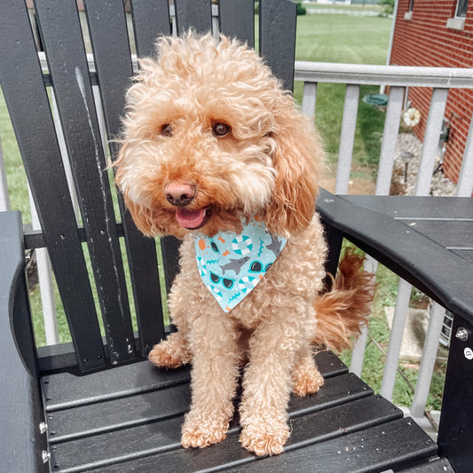 Summer Sharks Bandana