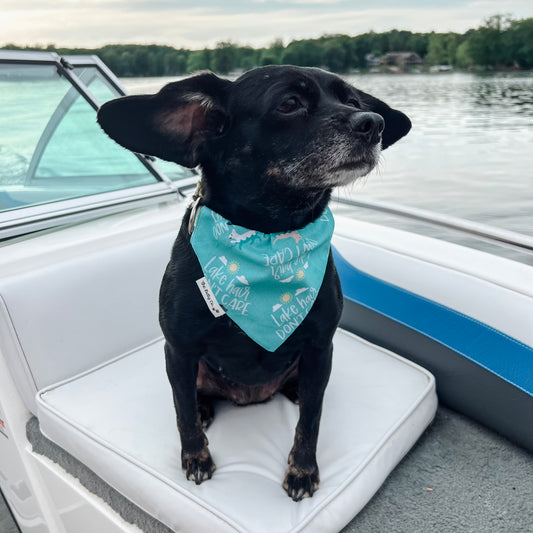 Lake Hair Don't Care Bandana