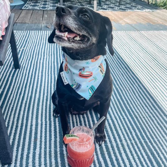 Puptail Bandana