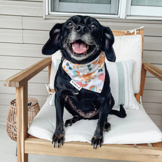 Beach Bum Bandana