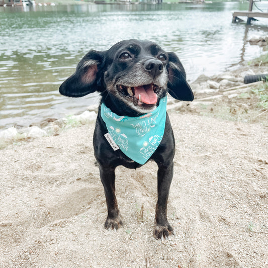 Lake Hair Don't Care Scrunchie Bandana