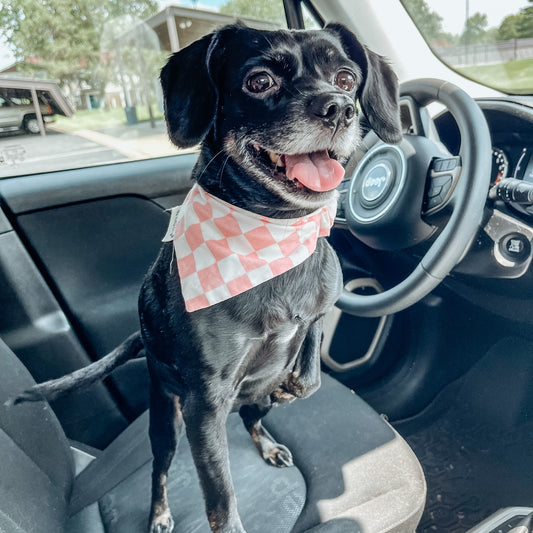 Pink Checkered Scrunchie Bandana