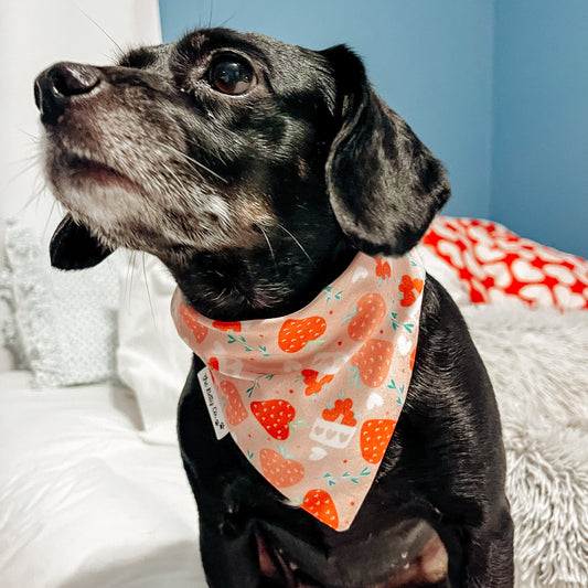 Berry Sweet Scrunchie Bandana