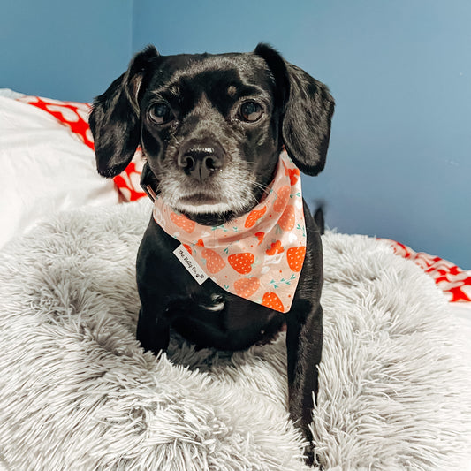 Berry Sweet Valentines Bandana