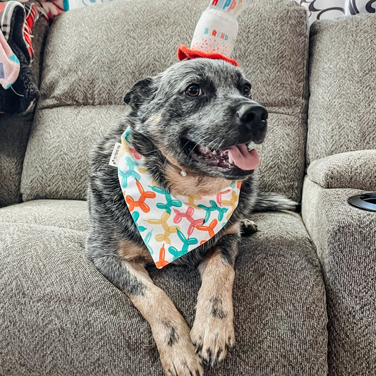 Birthday Balloons Scrunchie Bandana