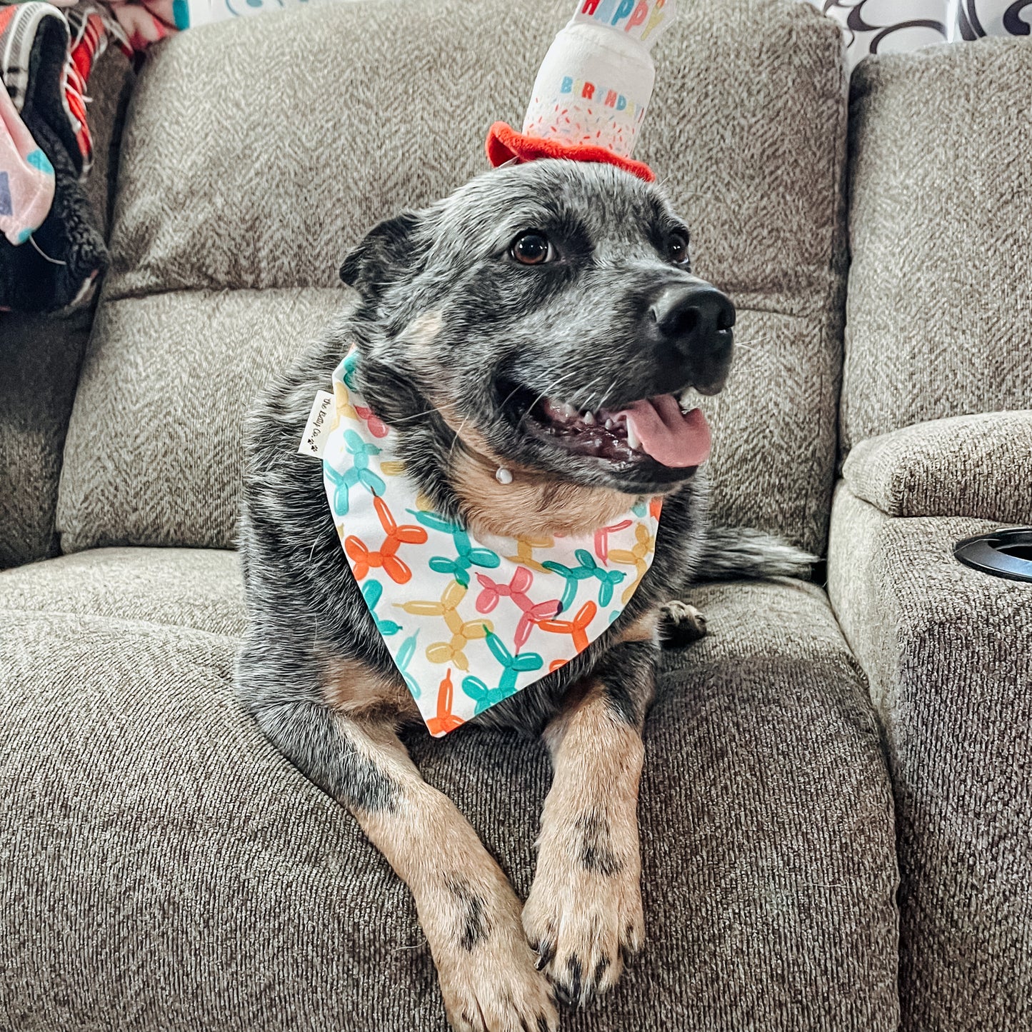 Birthday Balloons Dog Bandana