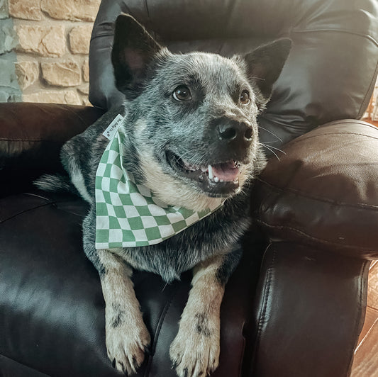 Green Checkered Bandana