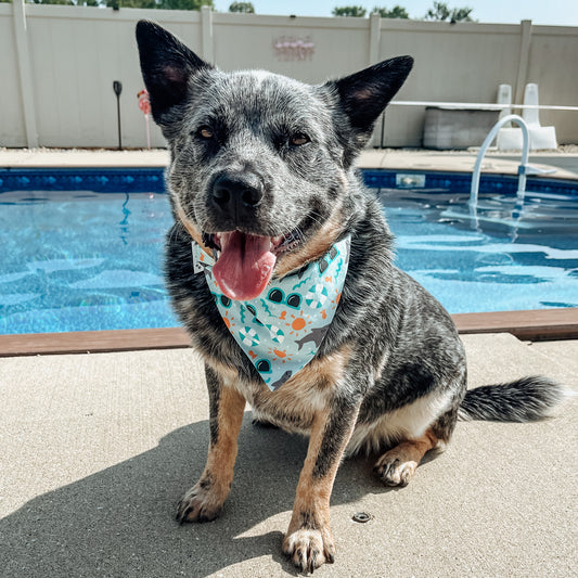 Summer Sharks Scrunchie Bandana