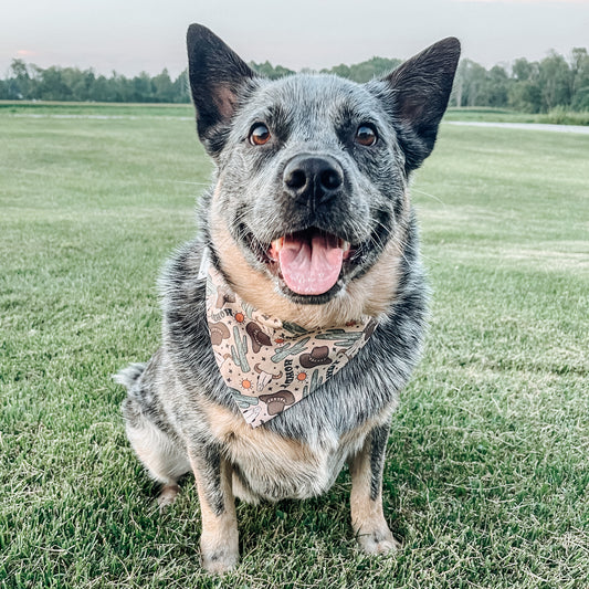 Howdy Bandana