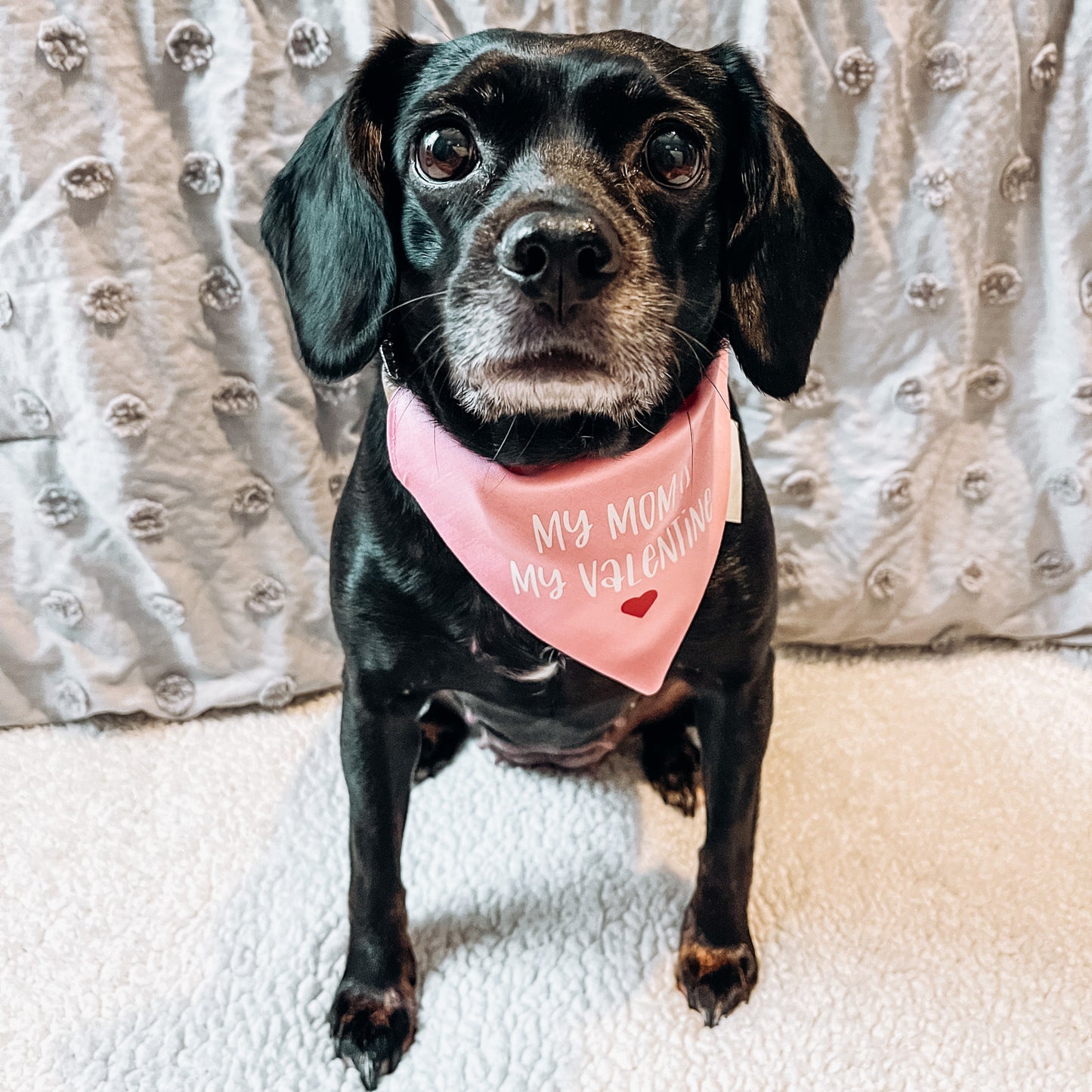 My Mom is My Valentine Bandana