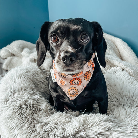 Groovy Floral Bandana