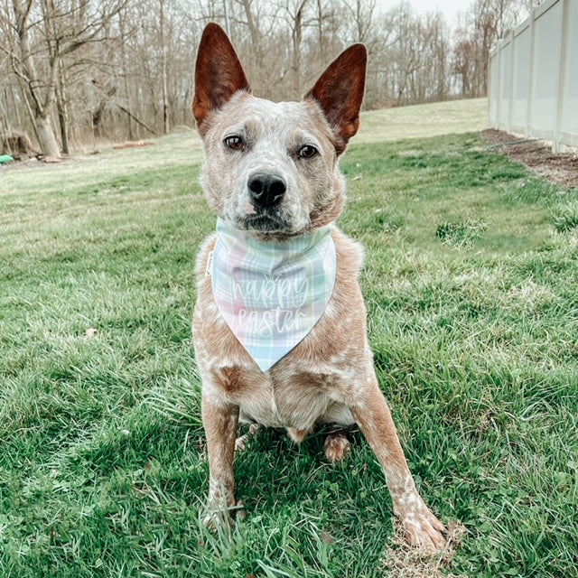 Easter on sale dog bandana